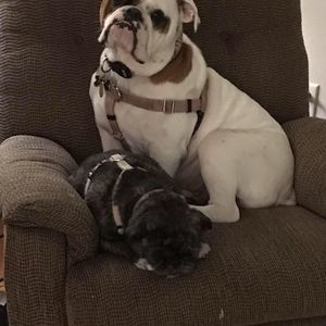 Meet your Posher, Angela